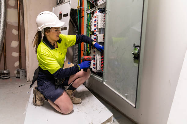 Best Electrical System Inspection  in Stockton, IL
