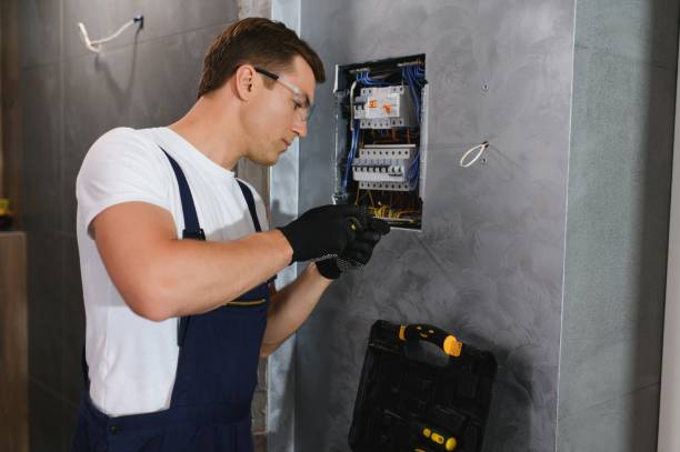 Best 24-Hour Electrician  in Stockton, IL