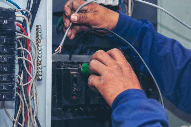 Best Residential Electrician Services  in Stockton, IL