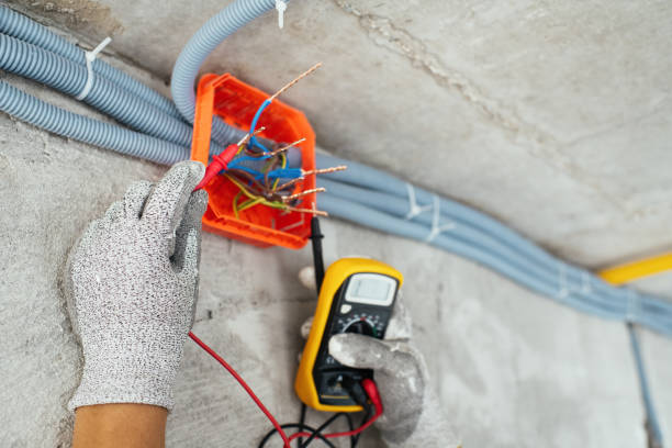 Best Electrician for Home Renovation  in Stockton, IL